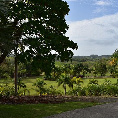 Hotel Hacienda Agroturistico Vista Hermosa Camuy Eksteriør bilde