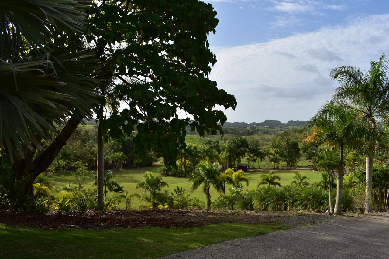Hotel Hacienda Agroturistico Vista Hermosa Camuy Eksteriør bilde